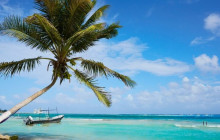 Next Experience Travel8