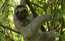 Next Experience Travel1