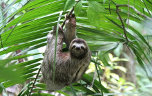 Next Experience Travel3