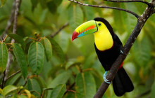 Next Experience Travel6