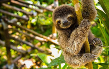 Next Experience Travel7