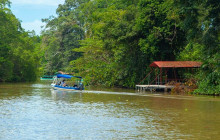 Next Experience Travel8