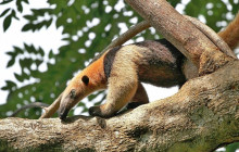 Next Experience Travel9