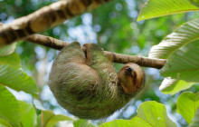 Next Experience Travel10