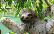 Next Experience Travel11