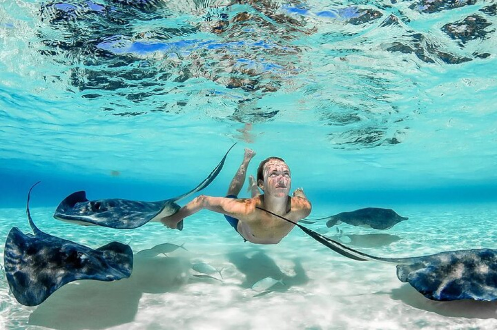 Grand Cayman Stingray City Sandbar Adventure