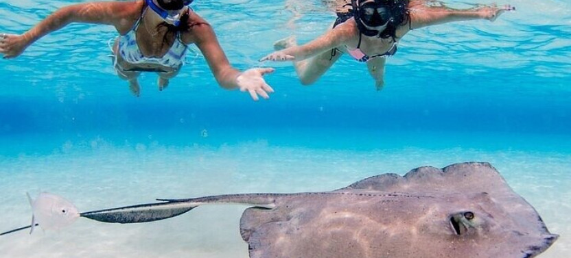 Grand Cayman Stingray City Sandbar Adventure