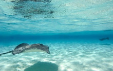 Next Experience Travel6