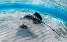 Next Experience Travel7