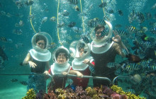 Next Experience Travel1