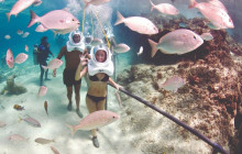 Next Experience Travel7