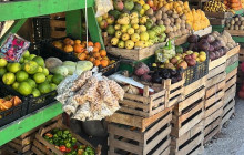 Next Experience Travel4