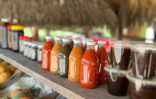 Next Experience Travel6