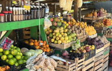 Next Experience Travel6