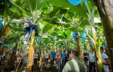 Next Experience Travel2