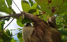 Next Experience Travel1