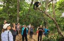 Next Experience Travel3