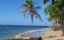 Next Experience Travel5