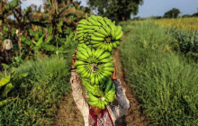 Next Experience Travel6