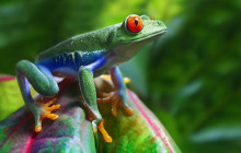 Next Experience Travel7