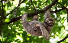 Next Experience Travel12