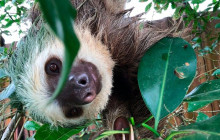 Next Experience Travel14