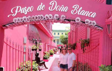 Next Experience Travel2