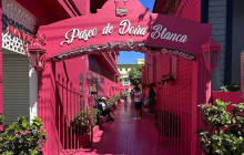 Next Experience Travel8