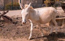 escursì6