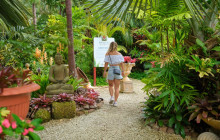 Hunte’s Gardens16