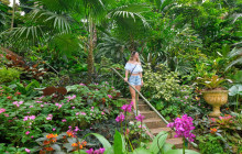 Hunte’s Gardens18
