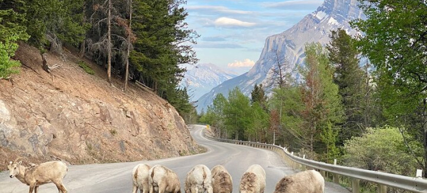 Explore Banff National Park With Our Premium Day Tour