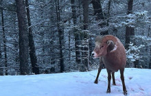 Rocky Mountain Trips Inc.17