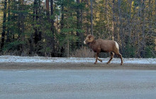 Rocky Mountain Trips Inc.19