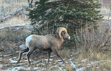 Rocky Mountain Trips Inc.25