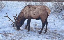 Rocky Mountain Trips Inc.32