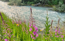 Rocky Mountain Trips Inc.7