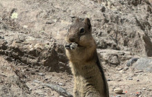 Rocky Mountain Trips Inc.13