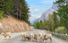 Rocky Mountain Trips Inc.6