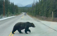 Rocky Mountain Trips Inc.7