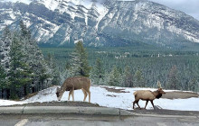 Rocky Mountain Trips Inc.11