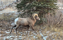 Rocky Mountain Trips Inc.18