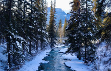 Rocky Mountain Trips Inc.21