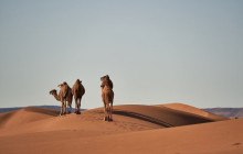 Yalah Travel Morocco LTD2