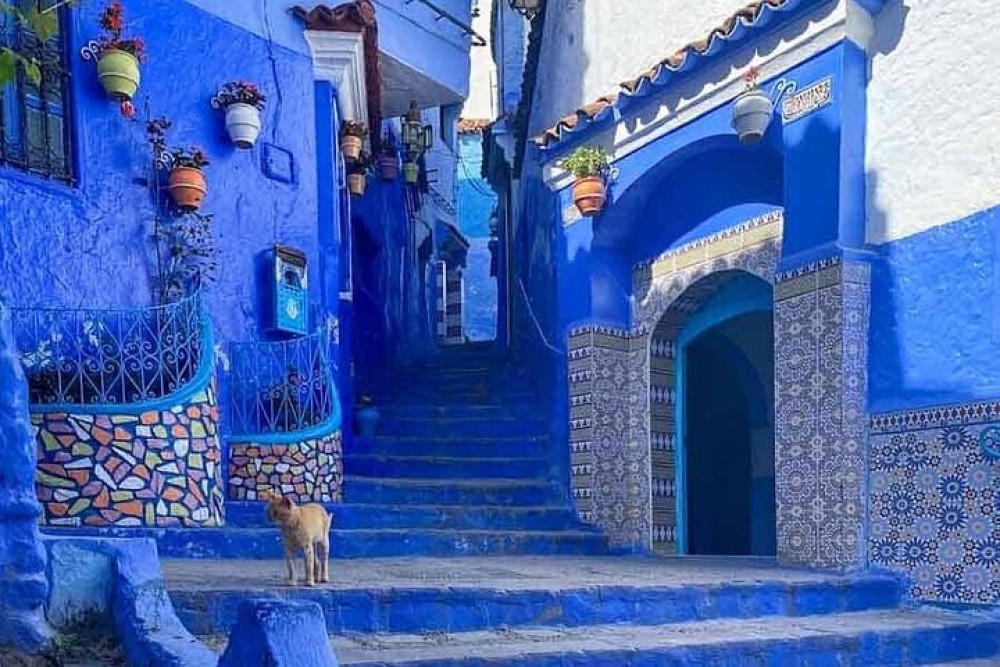 Private Transfer from Tangier to Fez with Blue Village Stop