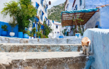 Yalah Travel Morocco LTD4