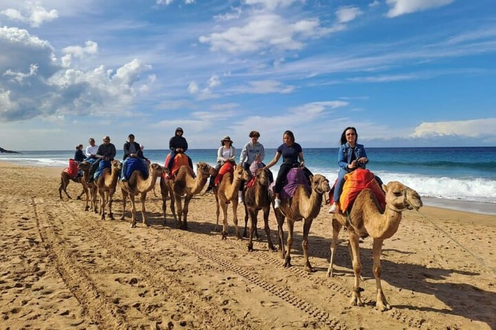 Tangier Coastal Tour with Camel Ride and Café Hafa Atmosphere
