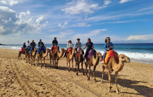 Yalah Travel Morocco LTD1