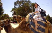 Yalah Travel Morocco LTD5