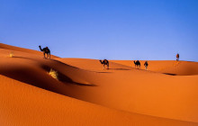Yalah Travel Morocco LTD3